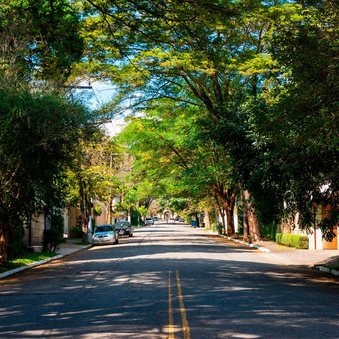 Zona sul (Alto da boa vista)